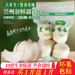 兰州鲜百合甘肃特产500g生