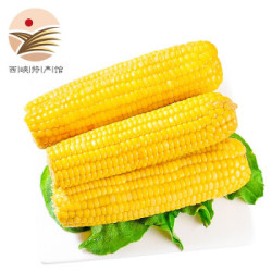 东北甜糯黄玉米 250g*10根