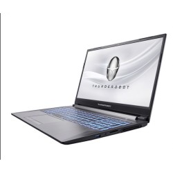 ThundeRobot 雷神 911ST 暗杀星 15.6英寸游戏本(i5-10500H、16GB、512GB、RTX3060、144Hz)