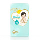 Pampers 帮宝适 一级帮系列 婴儿纸尿裤 M62片