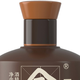 舍得 品味舍得 38%vol 浓香型白酒 100ml 单瓶装