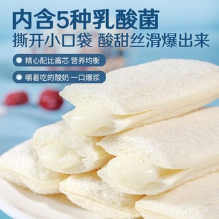 糕点小哥 乳酸菌酸奶小口袋 600g