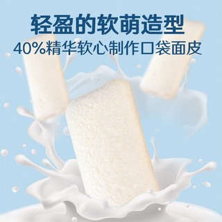 糕点小哥 乳酸菌酸奶小口袋 600g