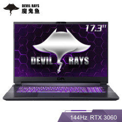 TERRANS FORCE 未来人类 DR721 17.3英寸笔记本(i5-10300H 16G 512G PCIe SSD RTX 3060)