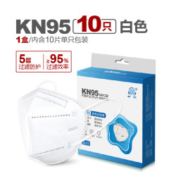 WK 成人KN95口罩10只装