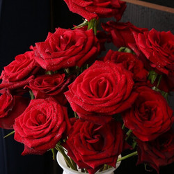 璞郁舍（PYS）玫瑰鲜花 品级黑魔术  红玫瑰 10支