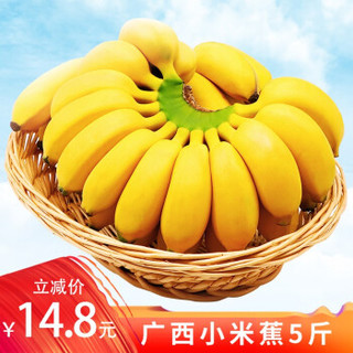 寻味君 广西香蕉 小米蕉5斤带箱 新鲜水果