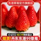 丹东东港99草莓3斤 新鲜奶油牛奶红颜大草莓现摘现孕妇发九九水果