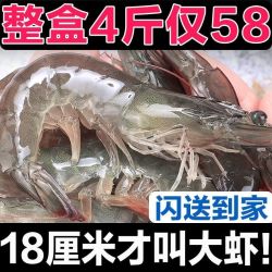 青岛大虾 3斤