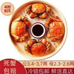 水淼鲜 洪湖大闸蟹鲜活螃蟹现货 生鲜活鲜海鲜礼盒水产礼品湖蟹 公3.4-3.7两 母2.3-2.6两 4对8只 *2件