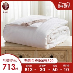 银桑高档蚕丝被冬被贵族桐乡手工春秋被子被芯空调被蝉丝被尊享型