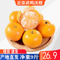 拾柚啦 正宗广西武鸣沃柑 酸甜橘子桔子 新鲜水果 净重9斤