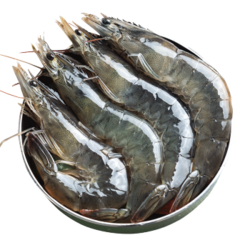 虾有虾途 青虾鲜虾 含微冰重2000g  13-15厘米(特大号)精选