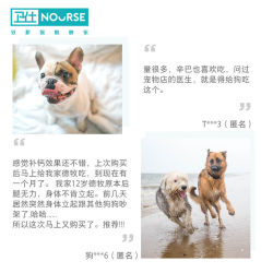 卫仕乳钙160片狗狗钙片宠物健骨补钙幼犬大型犬金毛小型泰迪钙粉