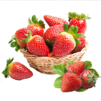 京东PLUS会员：田园居 天仙醉奶油草莓 净含量1kg