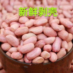 生花生米河南特产 2020年新花生 精选花生米3斤(实惠装)