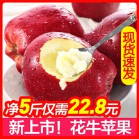 甘肃天水花牛苹果 5斤 70-75mm