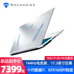 机械师F117-FP 17.3英寸144Hz全面屏游戏本十代i7/GTX1650Ti独显笔记本电脑 10代i7/16G/512G PCIE高速固态