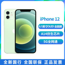 Apple 苹果 iPhone 12 5G智能手机 64GB 蓝色