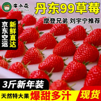 红颜奶油大草莓 久久丹东草莓 产地直发 新鲜水果现摘现发 新年促销3斤大果