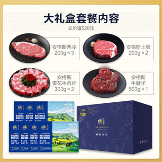 春禾秋牧  阖家欢年货礼包 礼盒 安格斯M3原切牛肉套餐 谷饲牛肉 生鲜