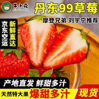 丹东99草莓 新鲜现摘  新年促销3斤大果