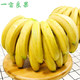 京东PLUS会员：云南香蕉当季水果新鲜 *5件