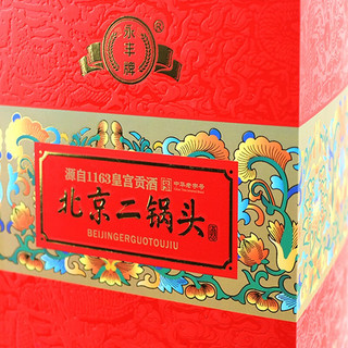 YONGFENG 永丰牌 北京二锅头 龙坛20 42%vol 清香型白酒 500ml*6瓶 整箱装