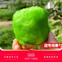 陕西周至绿心猕猴桃新鲜包邮10斤大果当季整箱水果孕妇时令奇异果