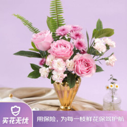 省30元 花点时间混合定制花束鲜花速递生活鲜花恋爱心事 康乃馨花束1月29日发货预计周六日收花多少钱 什么值得买