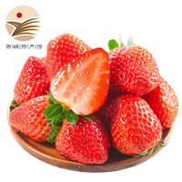 京东PLUS会员：红颜草莓 新鲜草莓 2.5斤 *2件