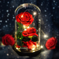 RoseBox 玫瑰盒子 玻璃罩红玫瑰永生花 2朵