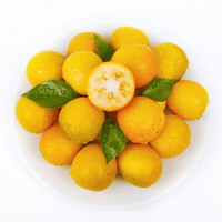 广西桂林特产小金桔 金橘 500g 新鲜水果