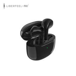LIBERFEEL 冇心 FreePods 真无线蓝牙耳机