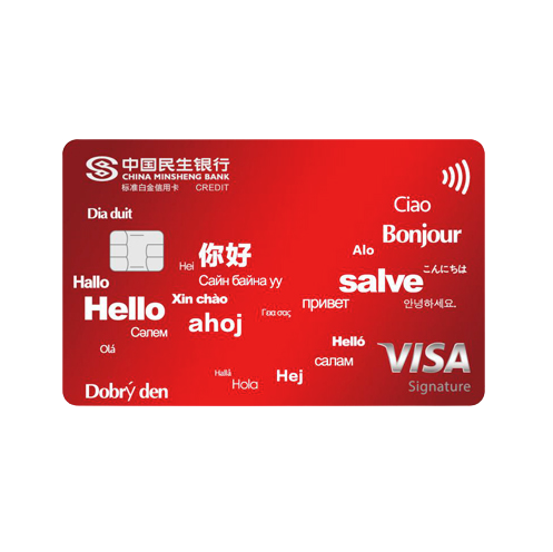 CHINA MINSHENG BANK 中国民生银行 Visa留学生芯片系列 信用卡白金卡 标准白金版