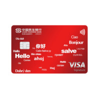 CHINA MINSHENG BANK 中国民生银行 Visa留学生芯片系列 信用卡白金卡 标准白金版