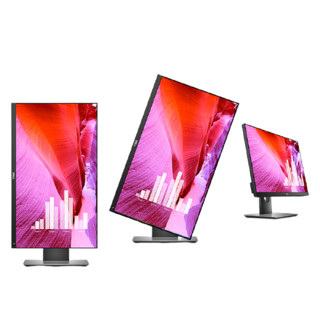 DELL 戴尔 U2419H 23.8英寸 IPS 显示器(1920×1080、60Hz、99％sRGB）