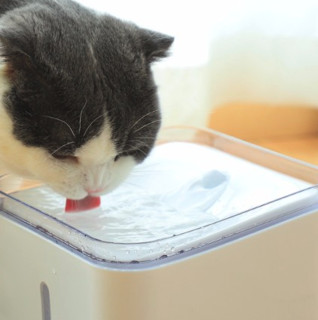 TOM CAT 派可为 宠物自动饮水机