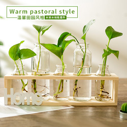 小清新绿萝水培绿植物玻璃花瓶创意摆件家居装饰品妈妈生日礼物