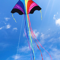 潍坊酷翔飞天彩虹风筝 大型成人微风好飞三角风筝 长尾 多彩儿童