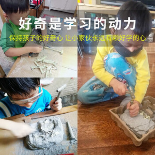 BFQ BAI FU QIN 考古挖掘玩具 霸王龙全套豪华11款