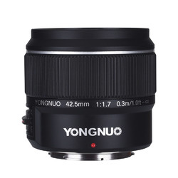 YONGNUO 永诺 YN 42.5mm F1.7 II 标准定焦镜头 Micro 4/3卡口 52mm