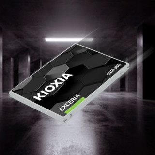 KIOXIA 铠侠 TC10 SATA 固态硬盘 240GB（SATA3.0）