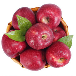 潘苹果 花牛苹果 净重4.5斤以上*4件+泰国椰青9个（单果850g以上）
