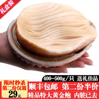 黄金鲍 特大带壳螺肉 400-500g 1只  口感鲜如鲍鱼 *8件