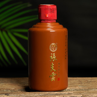 張支雲 53%vol 酱香型白酒 100ml*2瓶 礼盒装