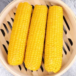 东北黑黄黏粘甜糯玉米棒12支 真空包装 非转基因 新鲜熟 玉米 真空玉米 *3件