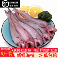 甜梨湾 新鲜豆腐鱼2.5kg海鲜水产 冰鲜龙头鱼丝丁鱼九肚鱼