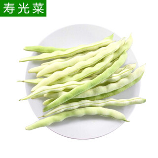山东寿光蔬菜 家美舒达 白不老豆角 约1kg 白芸豆 寿光菜 火锅食材 产地直供 新鲜蔬菜 *11件