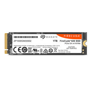 SEAGATE 希捷 酷玩520系列 固态硬盘 NVMe M.2 500GB（PCI-E4.0）ZP2000GM3A002